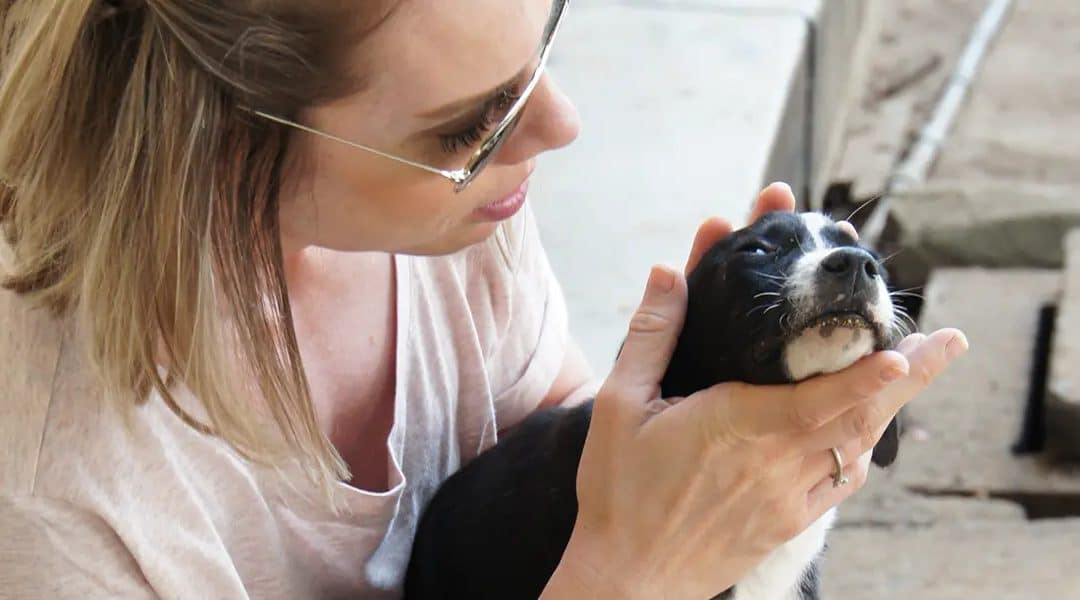 Veterinairebraine gal